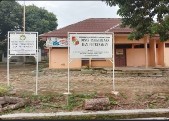 BANTUAN AYAM TA 2025 DI LAMPUNG UTARA DIPERTANYAKAN, DINAS MENGAKU HANYA MENDAMPINGI